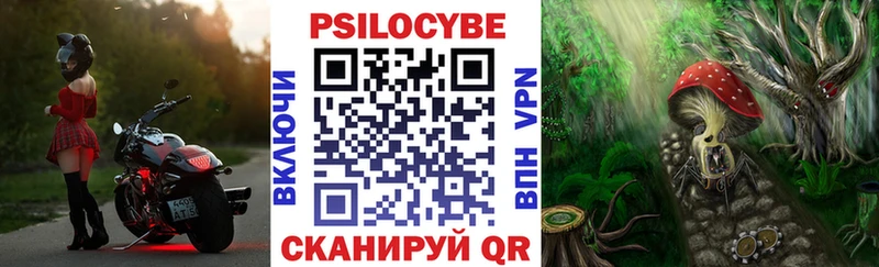 Галлюциногенные грибы Psilocybe Малоархангельск
